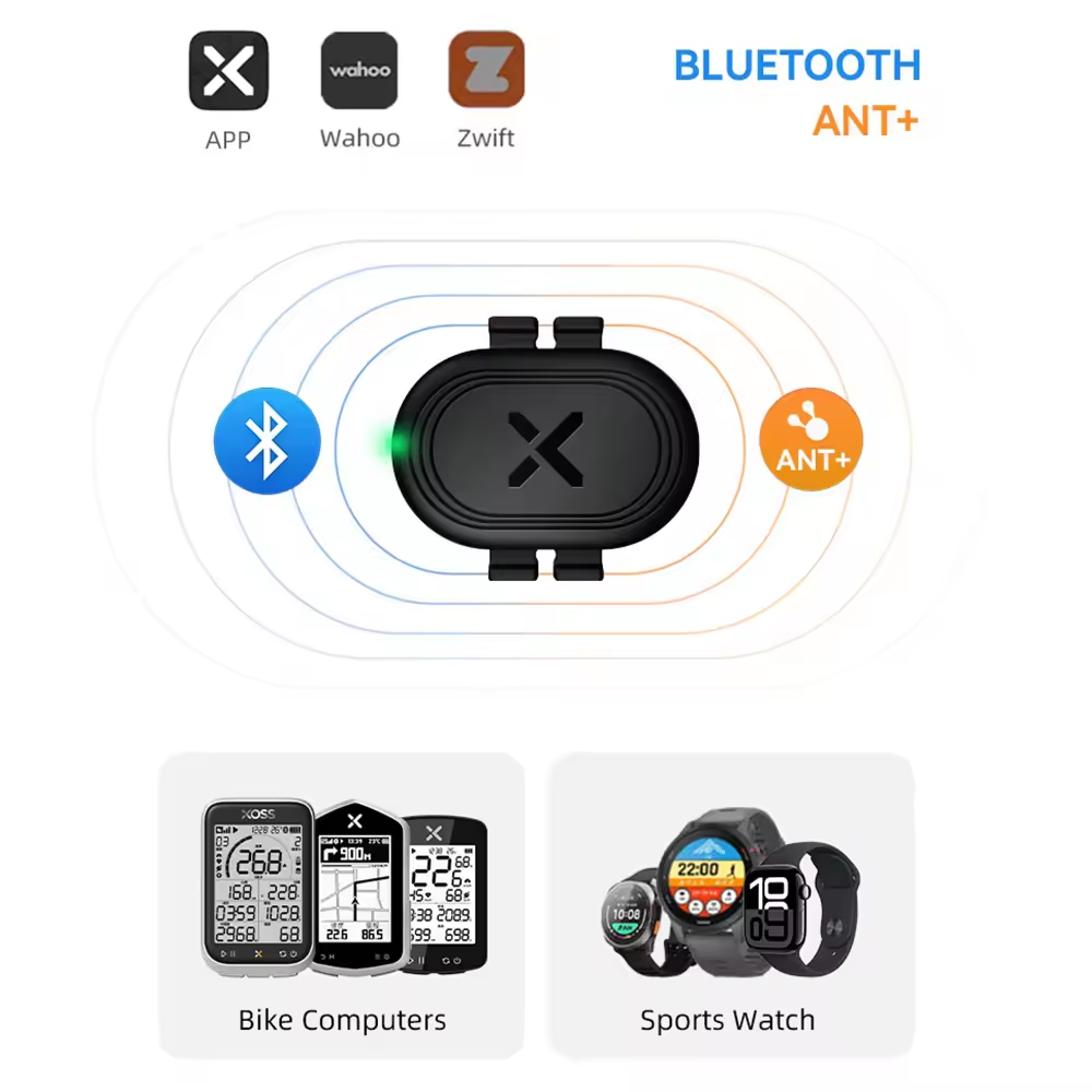 Cycling Speed Cadence Sensor Dual - XOSS ARENA Speed and Cadence Dual