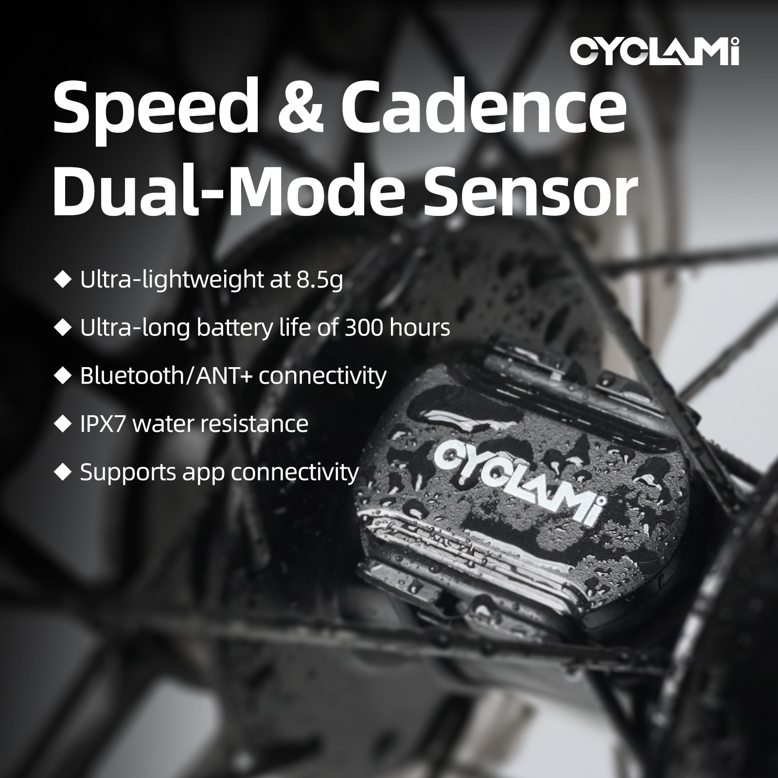 CYCLAMI C2 Cadence Speed Dual  - đánh giá và giá Cycling Speed Cadence Sensor Dual
